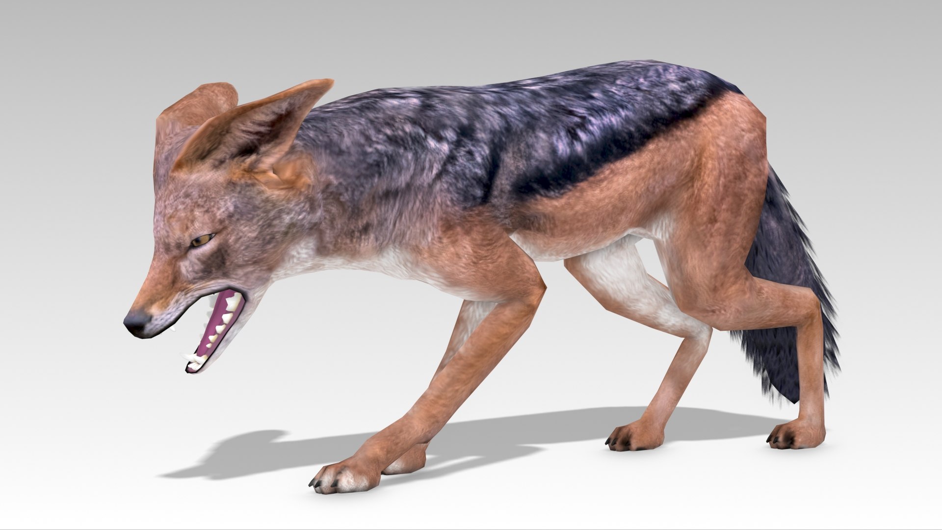 Jackal model https://p.turbosquid.com/ts-thumb/X3/JGlxqu/s1/jackal_screenshot_009/jpg/1685102270/1920x1080/fit_q87/99ba7f863d309cbb38de45d0782b4342540489f3/jackal_screenshot_009.jpg