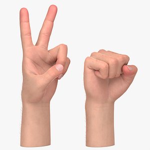 3D Male Hands Rigged