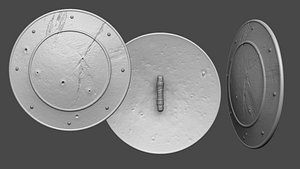 3D Damaged Shield