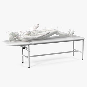 Female Acupuncture Mannequin on the Couch