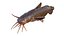 50 Fish Sea Creature Collection v3