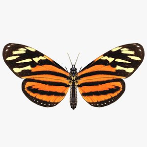 3D realistic eueides isabella