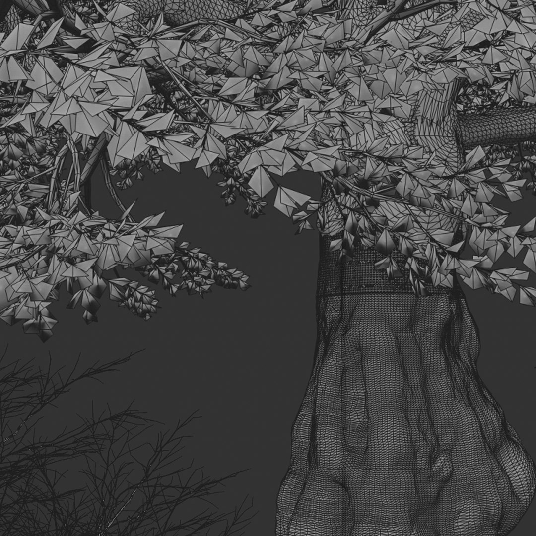3D Common Oak or Quercus robur Tree https://p.turbosquid.com/ts-thumb/X3/qIrhNE/hm/commonoak4t/jpg/1669639462/1920x1080/fit_q87/ef4f281ba1ce56228eba5dce48f1a979864a28f7/commonoak4t.jpg