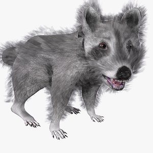 3D model Raccoon Animated