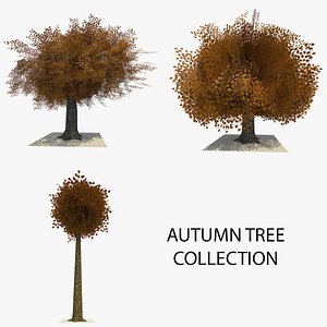 3d 3 trees autumn leaves model