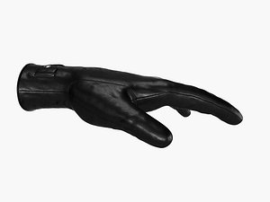 Leather Glove