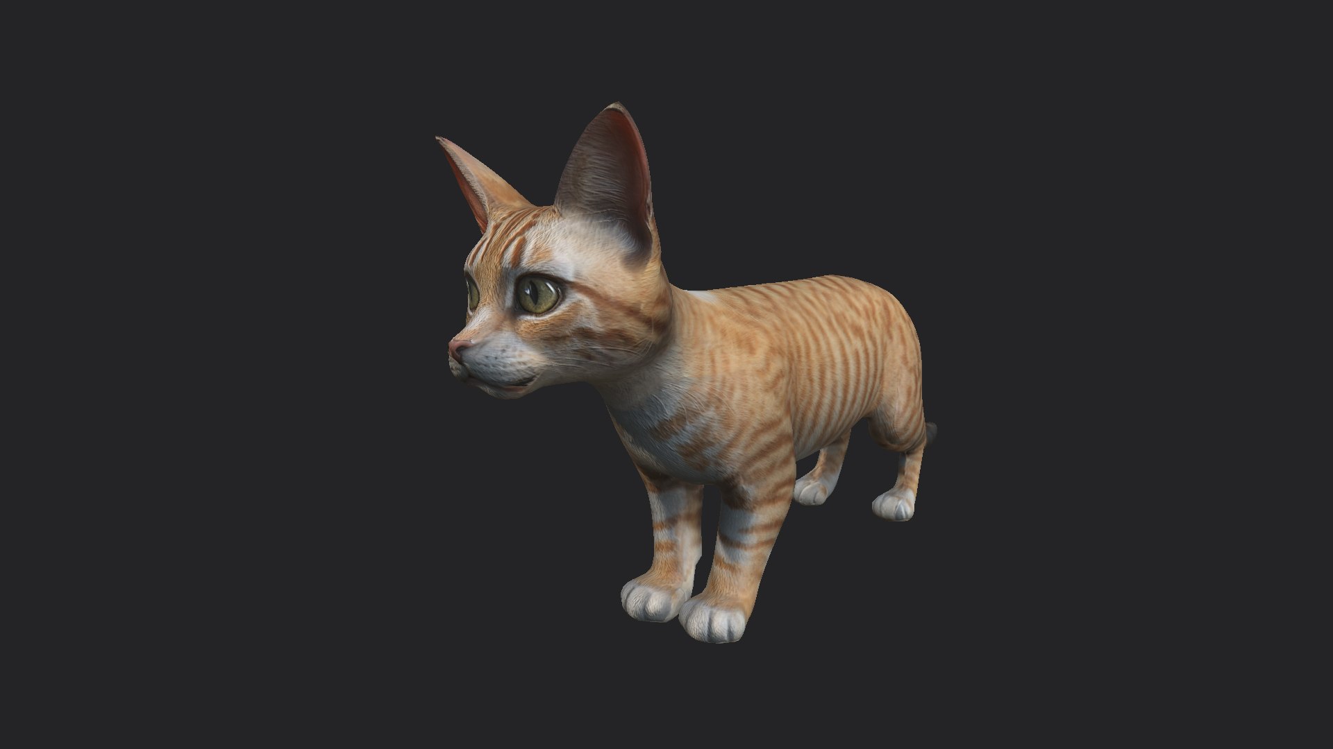 Cat 3D Model 001 3D Model - TurboSquid 2357032