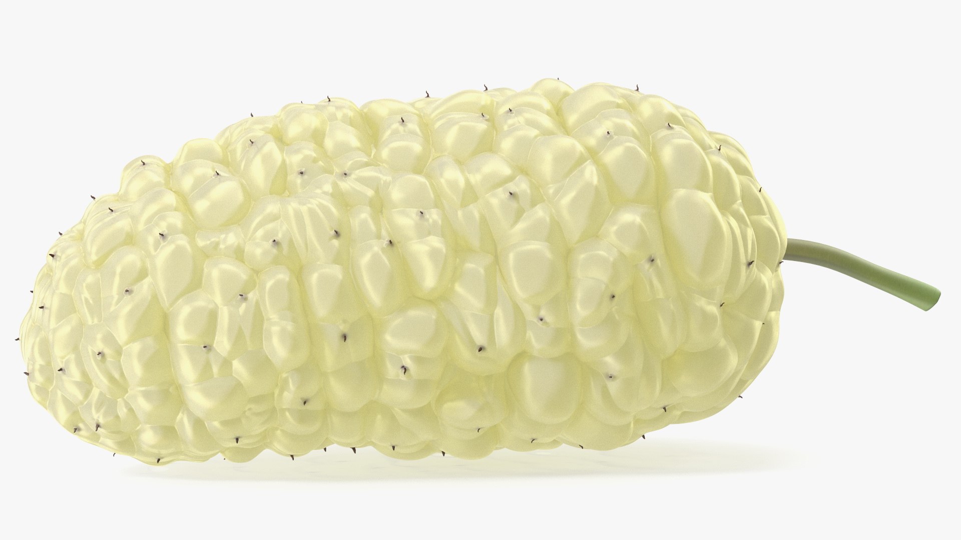 3D Mulberry Fruit White https://p.turbosquid.com/ts-thumb/X4/KcLbhU/9w/mulberryfruitwhitevray3dmodel011/jpg/1662756960/1920x1080/fit_q87/1090be4a5e0f1177a8a8b38ad9e81d35107bd370/mulberryfruitwhitevray3dmodel011.jpg