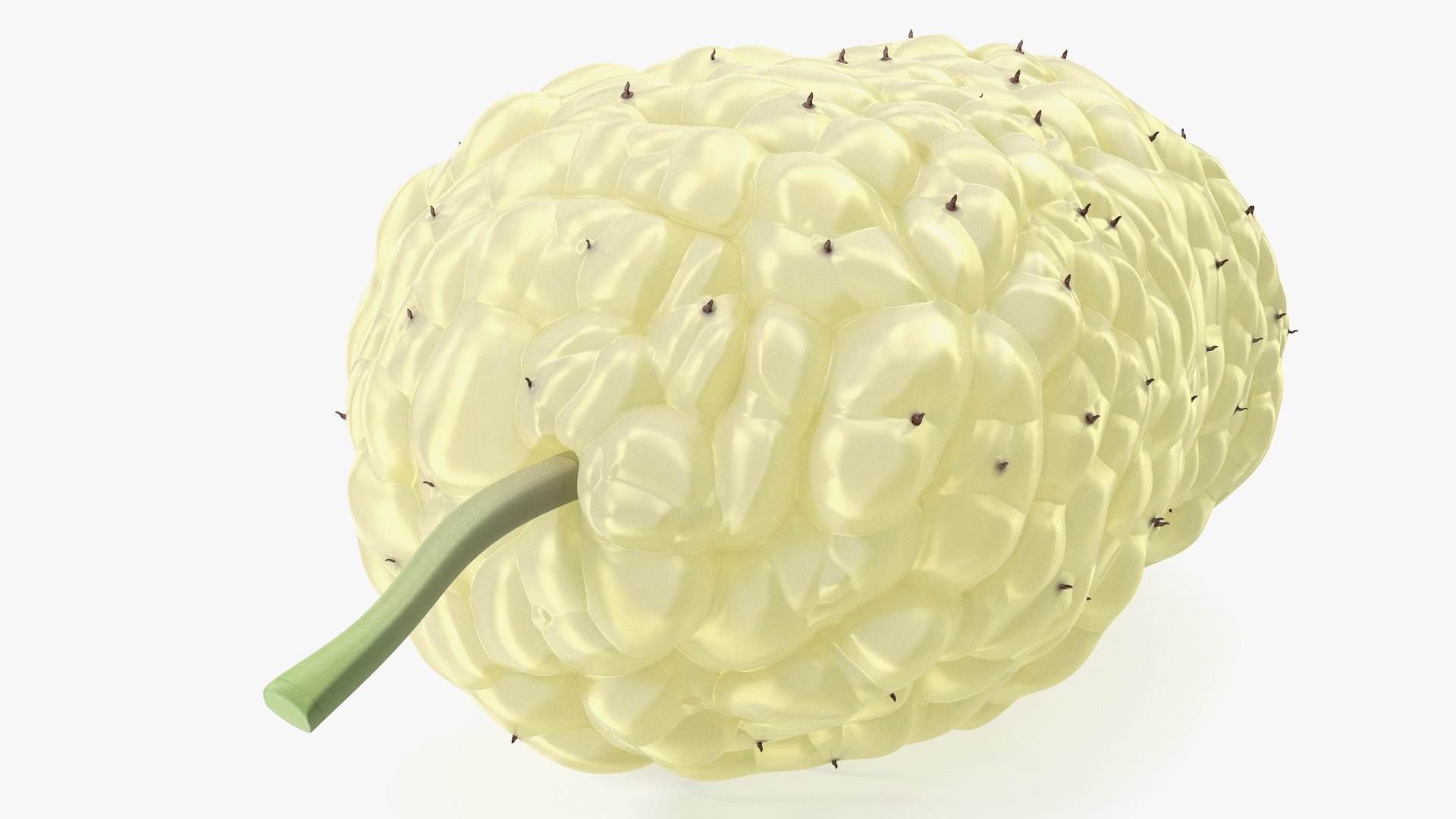 3D Mulberry Fruit White https://p.turbosquid.com/ts-thumb/X4/KcLbhU/Fo/mulberryfruitwhitevray3dmodel009/jpg/1662756954/1920x1080/fit_q87/59437f593b19958281c67c8dd8396d17e83c3cc8/mulberryfruitwhitevray3dmodel009.jpg