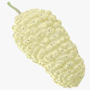 3D Mulberry Fruit White