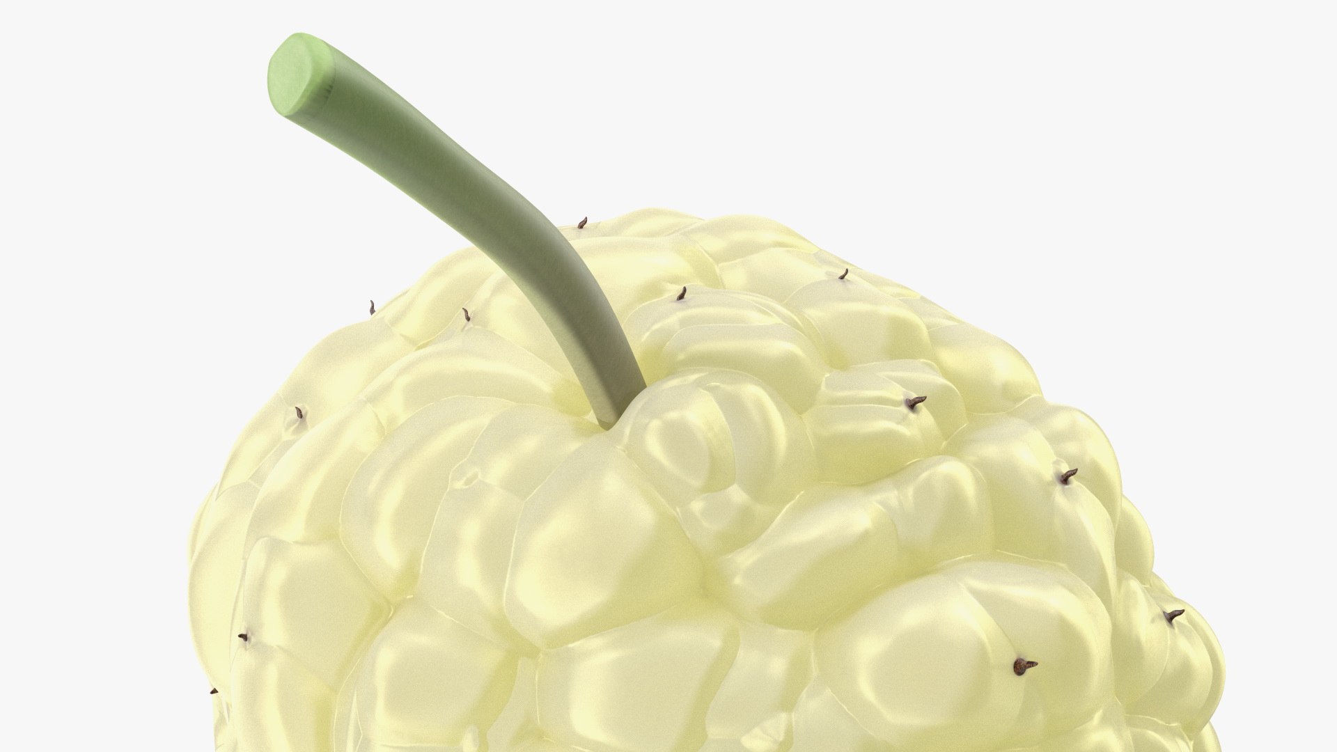 3D Mulberry Fruit White https://p.turbosquid.com/ts-thumb/X4/KcLbhU/My/mulberryfruitwhitevray3dmodel014/jpg/1662756969/1920x1080/fit_q87/4d21bdfec465ffbeae456d39b901fd58d0f8f0ad/mulberryfruitwhitevray3dmodel014.jpg