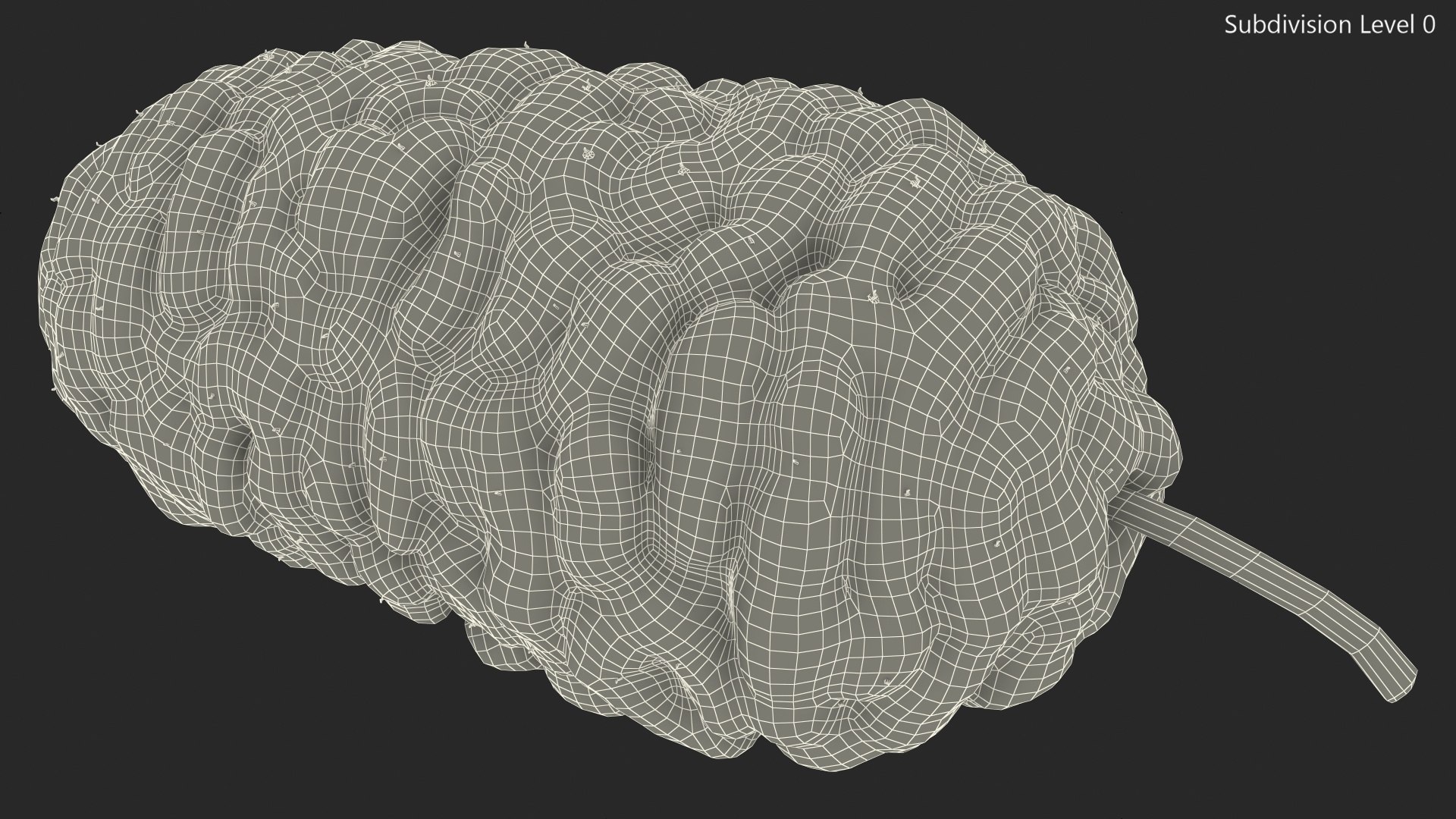 3D Mulberry Fruit White https://p.turbosquid.com/ts-thumb/X4/KcLbhU/OX/mulberryfruitwhitevray3dmodel016/jpg/1662756976/1920x1080/fit_q87/72000254f0c8bffb784ac596d789f5a6641f1f2d/mulberryfruitwhitevray3dmodel016.jpg
