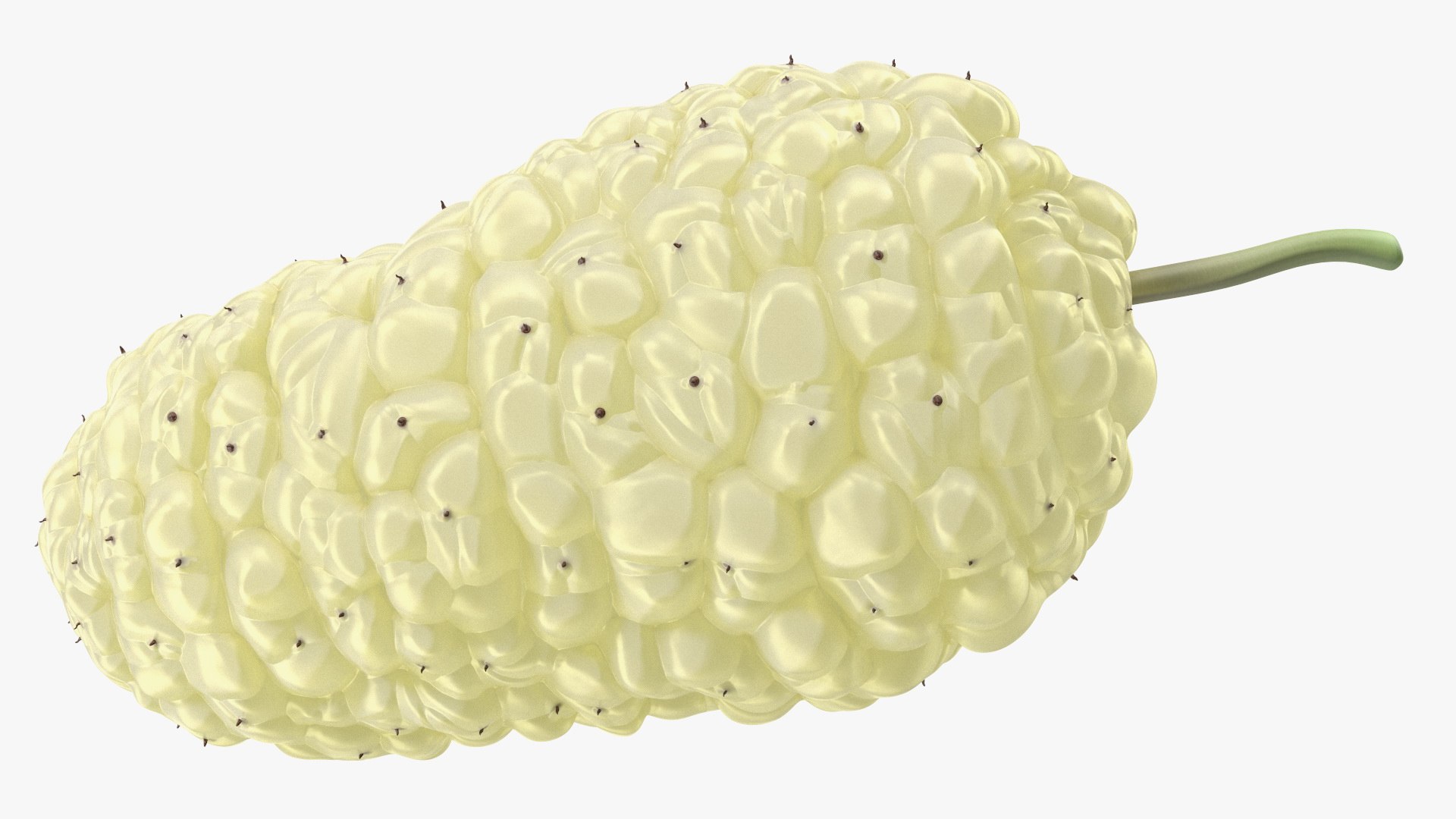 3D Mulberry Fruit White https://p.turbosquid.com/ts-thumb/X4/KcLbhU/Qb/mulberryfruitwhitevray3dmodel012/jpg/1662756963/1920x1080/fit_q87/b5d511163302eaa50e87337962434e57911077dc/mulberryfruitwhitevray3dmodel012.jpg