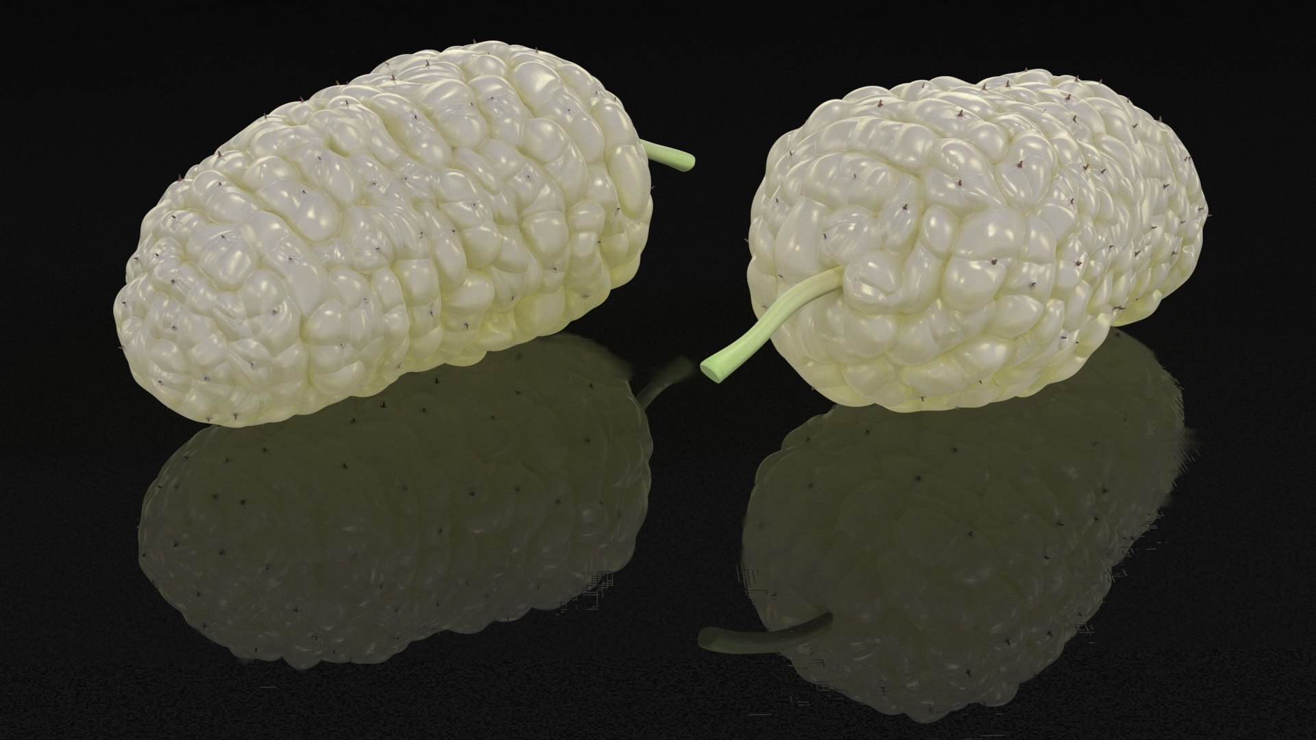 3D Mulberry Fruit White https://p.turbosquid.com/ts-thumb/X4/KcLbhU/ZT/mulberryfruitwhitevray3dmodel007/jpg/1662756948/1920x1080/fit_q87/122e95812564000ddf0f088a775948f36e861e94/mulberryfruitwhitevray3dmodel007.jpg