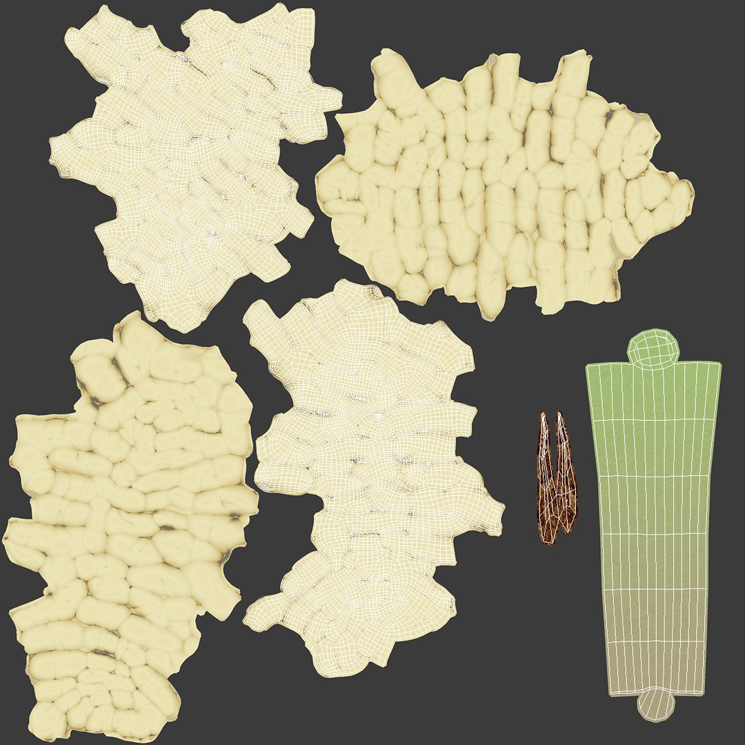 3D Mulberry Fruit White https://p.turbosquid.com/ts-thumb/X4/KcLbhU/sn/mulberryfruitwhitevray3dmodel018/jpg/1662756983/1920x1080/fit_q87/d57f6e6f7dc4080a86e80cde0b013531b4aa5a53/mulberryfruitwhitevray3dmodel018.jpg