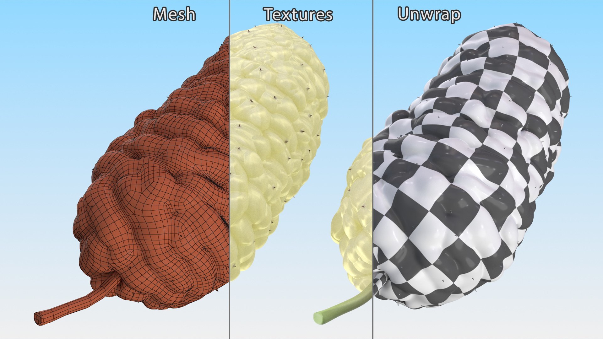 3D Mulberry Fruit White https://p.turbosquid.com/ts-thumb/X4/KcLbhU/tg/mulberryfruitwhitevray3dmodel015/jpg/1662756972/1920x1080/fit_q87/0fdfd6ee23723f81b4f4552c1a7d66b0d6c052d6/mulberryfruitwhitevray3dmodel015.jpg
