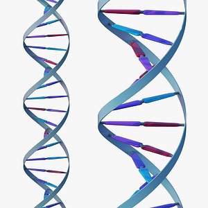 DNA(1)