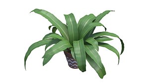 3D plant green