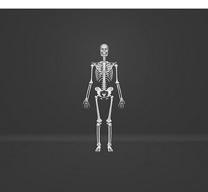 3D human skeleton model