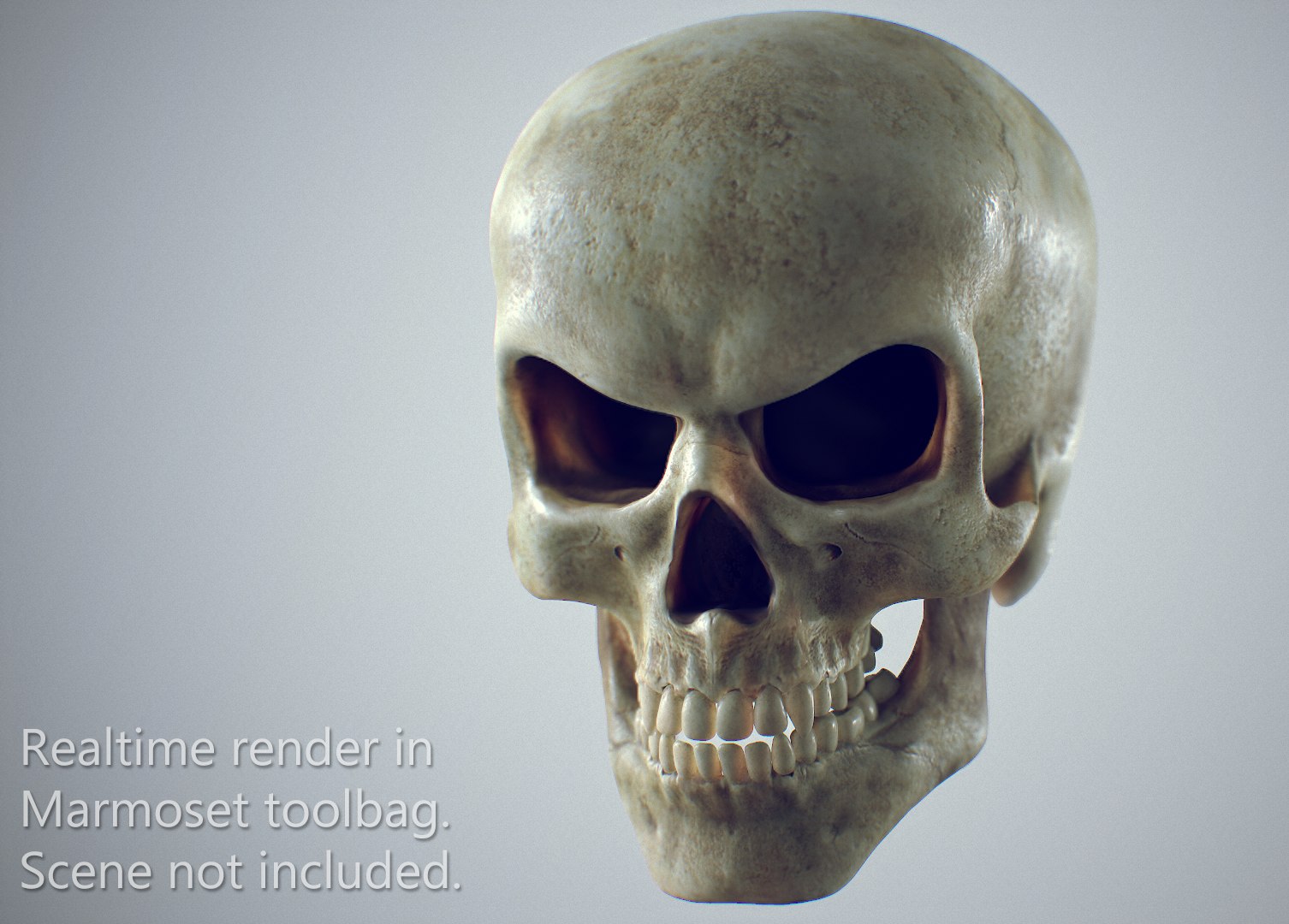 3d skull 3 model https://p.turbosquid.com/ts-thumb/X4/qAmja5/4lny9aqs/realtimepreview1/png/1530111175/1920x1080/fit_q87/13277099f5d1ee0638988b21444bd7dbdf17b6ae/realtimepreview1.jpg
