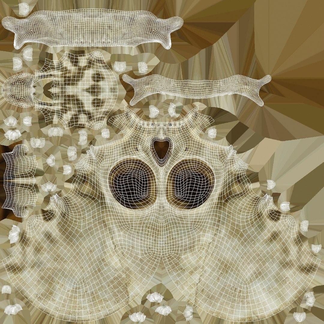 3d skull 3 model https://p.turbosquid.com/ts-thumb/X4/qAmja5/FtIhoAT6/skull3_uv1/jpg/1530107138/1920x1080/fit_q87/27af1a0de4267a977177ef8dc466c29f93b6d57d/skull3_uv1.jpg
