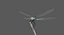 3D dragonfly paddle-tailed darner animation flying model