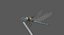 3D dragonfly paddle-tailed darner animation flying model