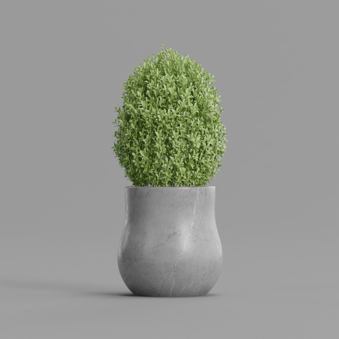 3D model Plant https://p.turbosquid.com/ts-thumb/X4/yNr9bF/3D/topiaryplant_0001/jpg/1788170459/1920x1080/fit_q87/a83b04a85427007bcd9488b36760b86b2cf1015c/topiaryplant_0001.jpg