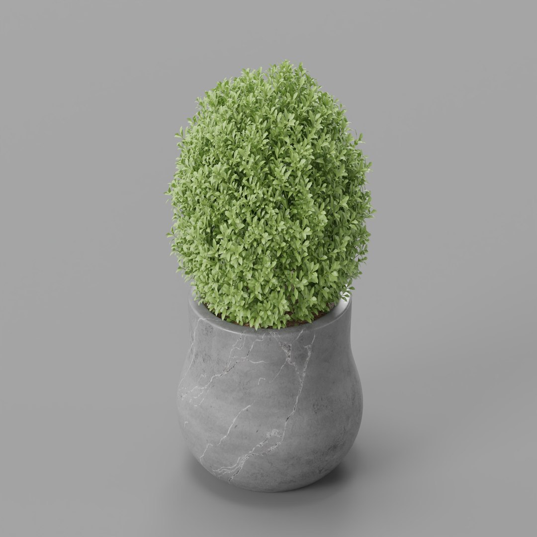 3D model Plant https://p.turbosquid.com/ts-thumb/X4/yNr9bF/Ft/topiaryplant/jpg/1788170372/1920x1080/fit_q87/f03714ad6097046a6ebeb197476170fd7347392c/topiaryplant.jpg