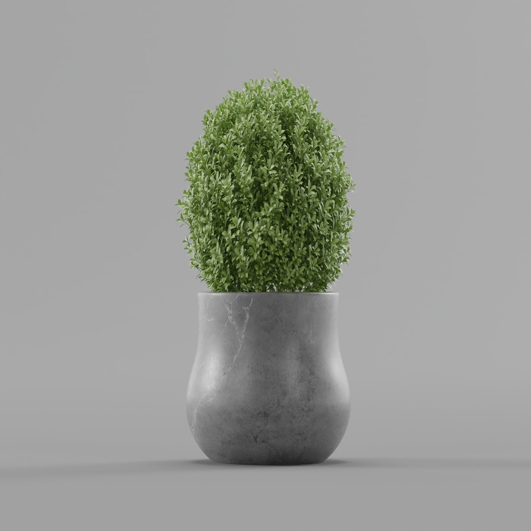 3D model Plant https://p.turbosquid.com/ts-thumb/X4/yNr9bF/UW/topiaryplant_0000/jpg/1788170373/1920x1080/fit_q87/fac8b1c82a6aa72ece2c416b977be9d8983e059b/topiaryplant_0000.jpg