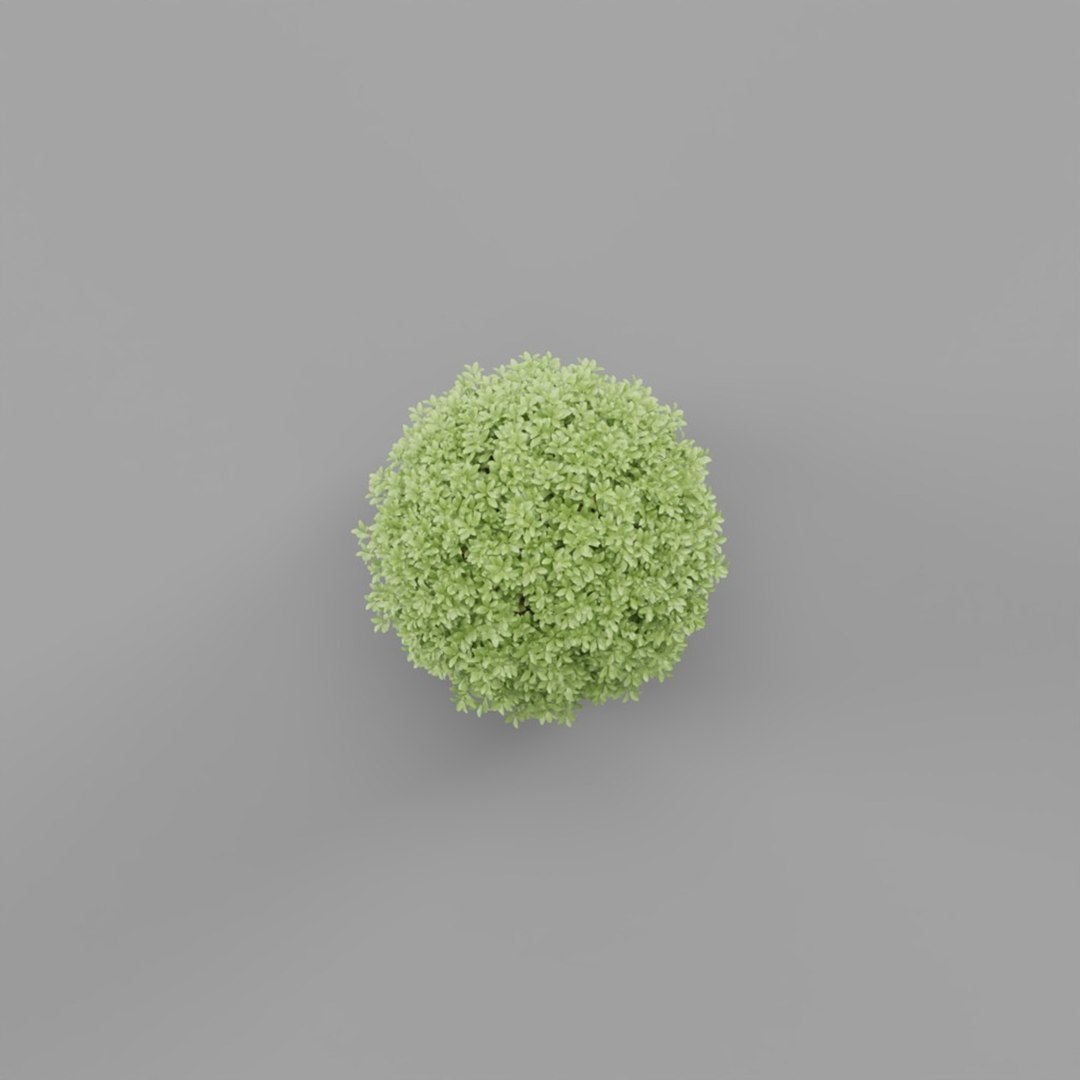 3D model Plant https://p.turbosquid.com/ts-thumb/X4/yNr9bF/sG/topiaryplant_0002/jpg/1788170568/1920x1080/fit_q87/3e010b8addc8c4cbb452cc014880547562df11eb/topiaryplant_0002.jpg