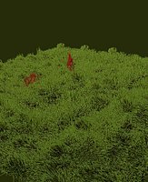Grass Savan