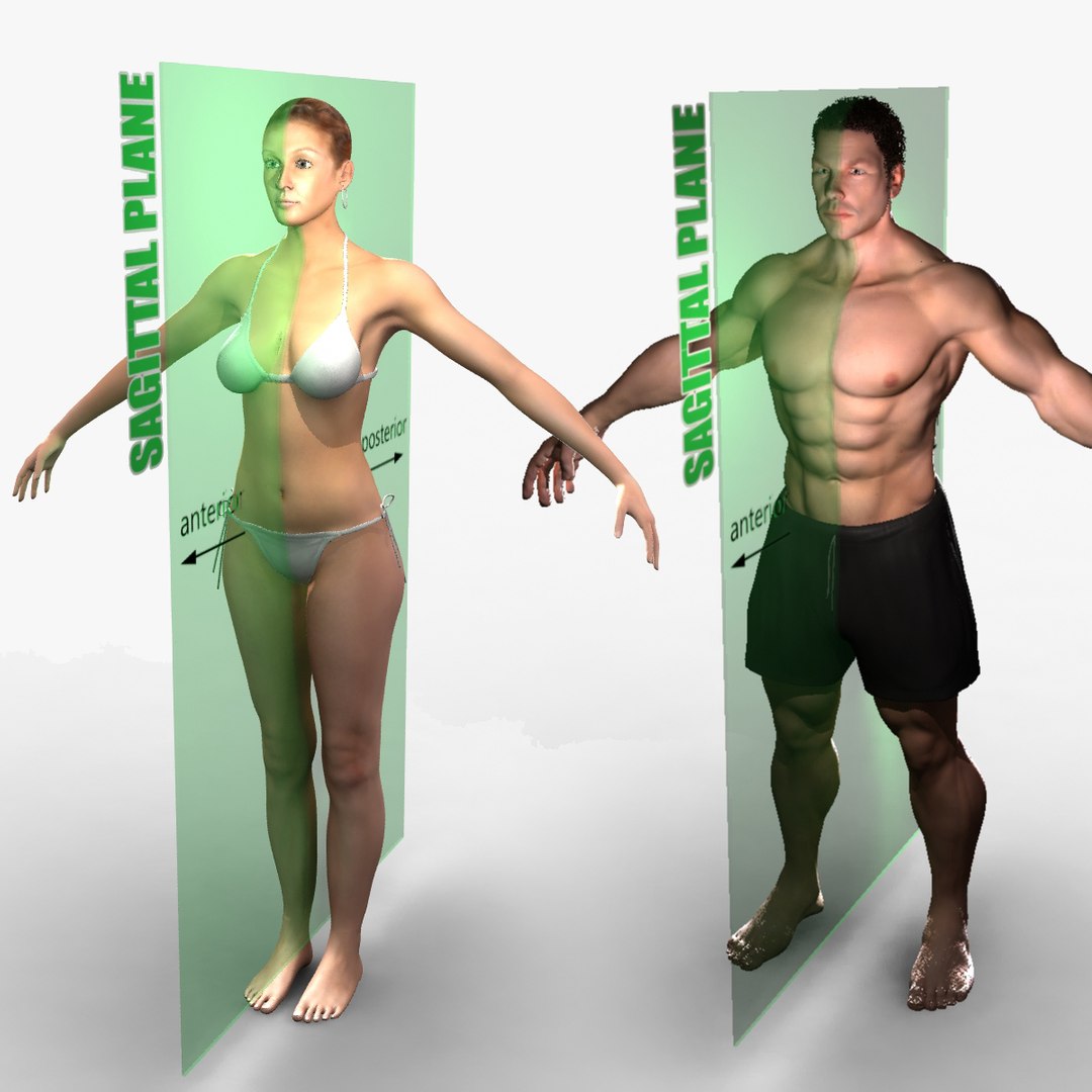 male female combo planes 3d ma https://p.turbosquid.com/ts-thumb/X5/7MEGEW/4ym1ikcl/0001/jpg/1396973859/1920x1080/fit_q87/6896946c794c67a616f28b5618695dc6a14b900e/0001.jpg