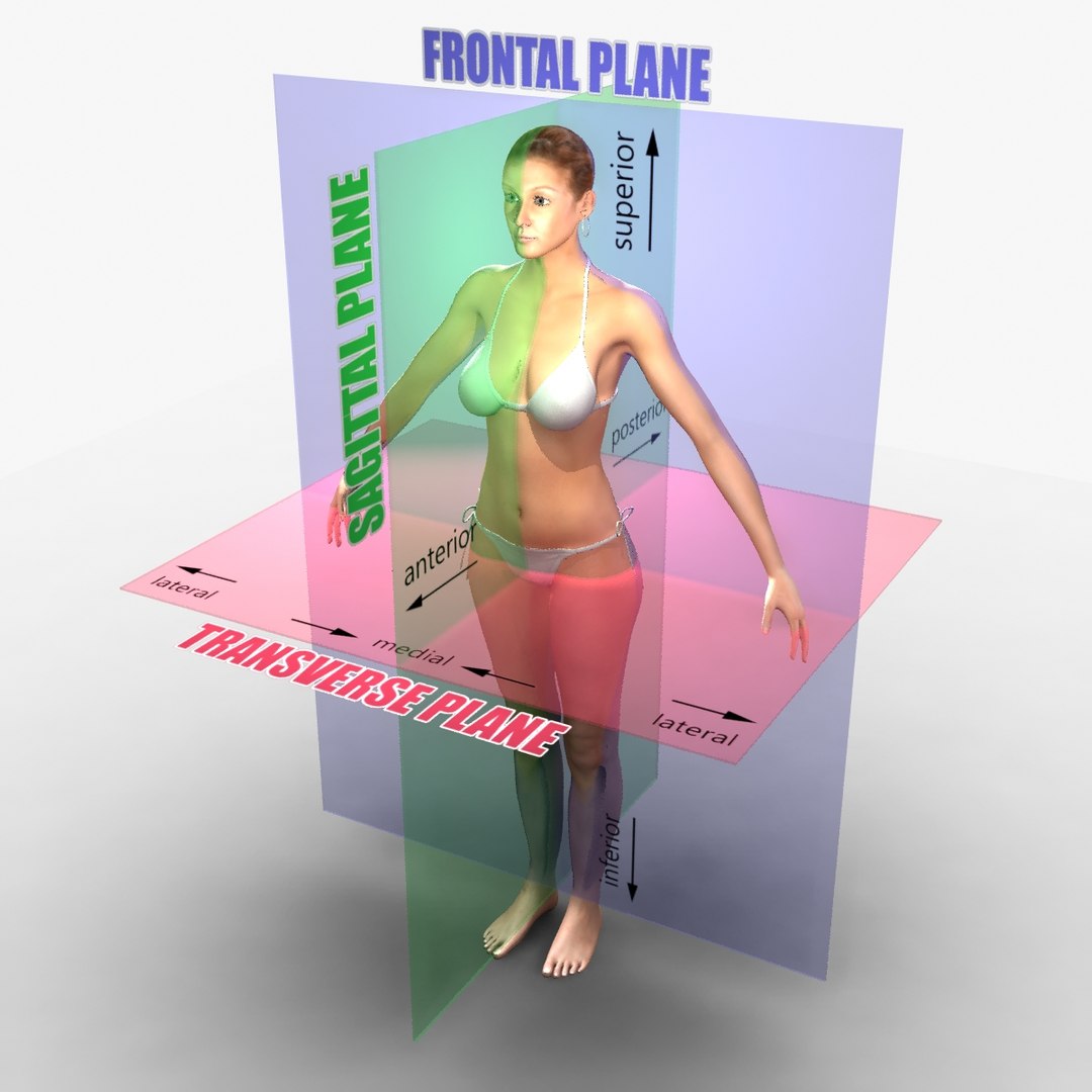 male female combo planes 3d ma https://p.turbosquid.com/ts-thumb/X5/7MEGEW/6N84wCHx/render_00000/jpg/1396973921/1920x1080/fit_q87/6c19d2947f6824269bde17a79f1e35d04234acb3/render_00000.jpg