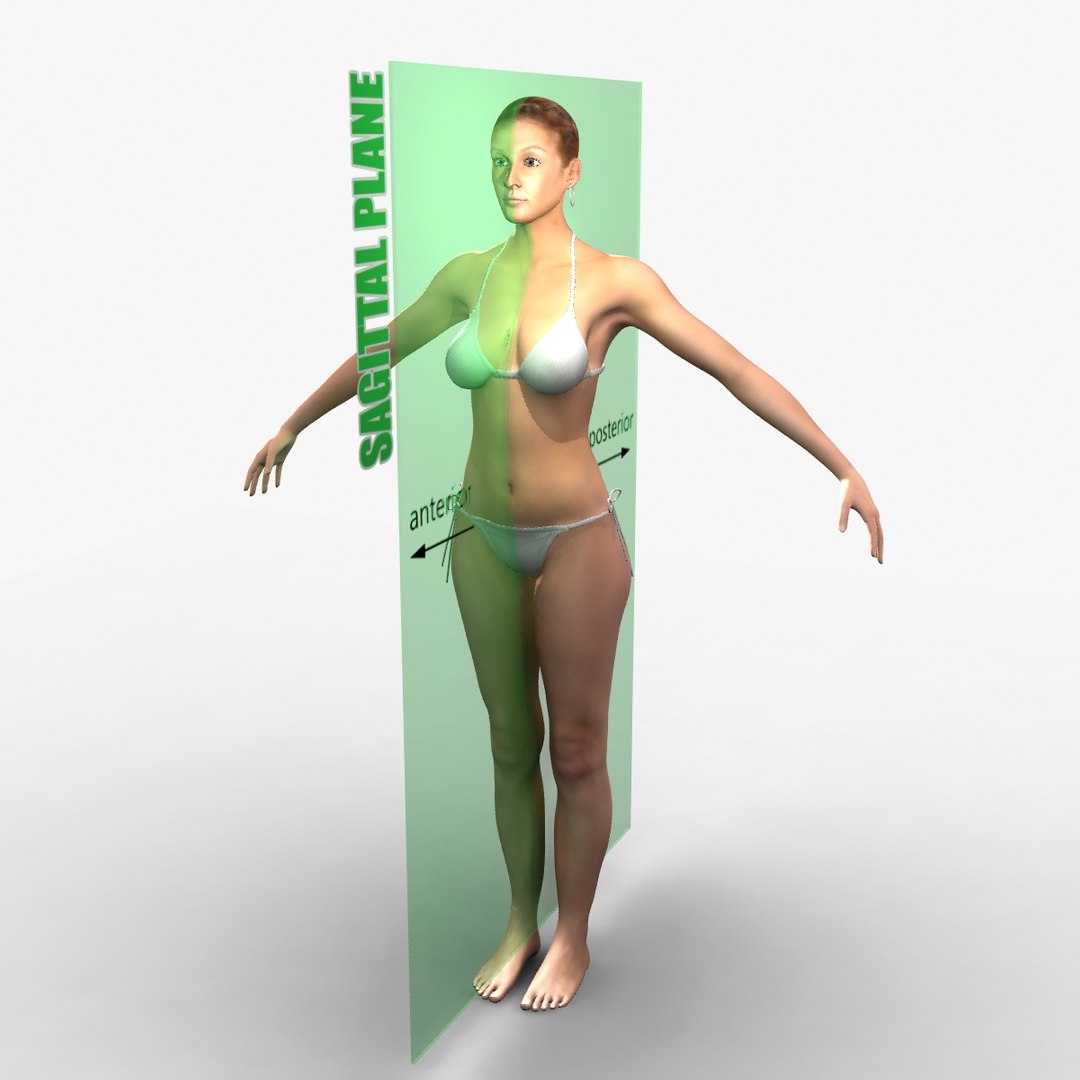 male female combo planes 3d ma https://p.turbosquid.com/ts-thumb/X5/7MEGEW/IgGTO3O1/0003/jpg/1396973921/1920x1080/fit_q87/0c426e403c9ee0698456a272410abde95d3fd280/0003.jpg