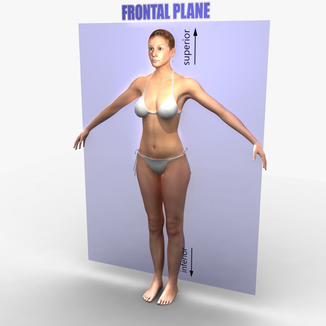 male female combo planes 3d ma https://p.turbosquid.com/ts-thumb/X5/7MEGEW/PLZozlKp/0005/jpg/1396973921/1920x1080/fit_q87/6bc00b76ed05b4922a25efcbf81f7c38758a311f/0005.jpg