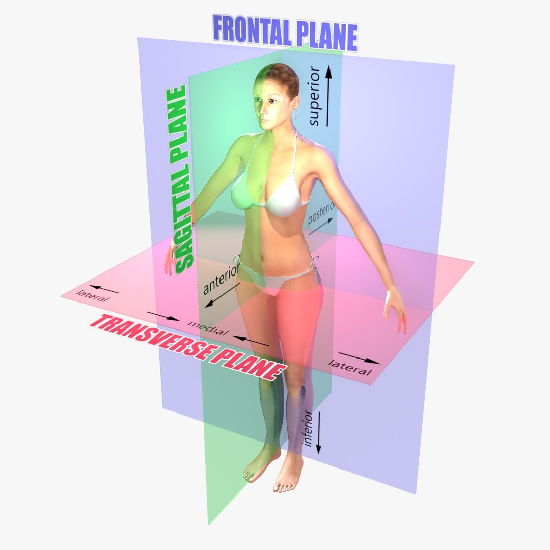 male female combo planes 3d ma https://p.turbosquid.com/ts-thumb/X5/7MEGEW/slBxOTcu/render_000000/jpg/1396973921/1920x1080/fit_q87/6f3a59e8d6ca4c2422efd0d3b9f090de8fc361cc/render_000000.jpg