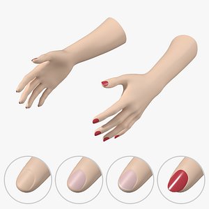 Female Hands Gesture 01 Base Mesh 3D model