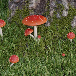 3D amanita muscaria mushroom