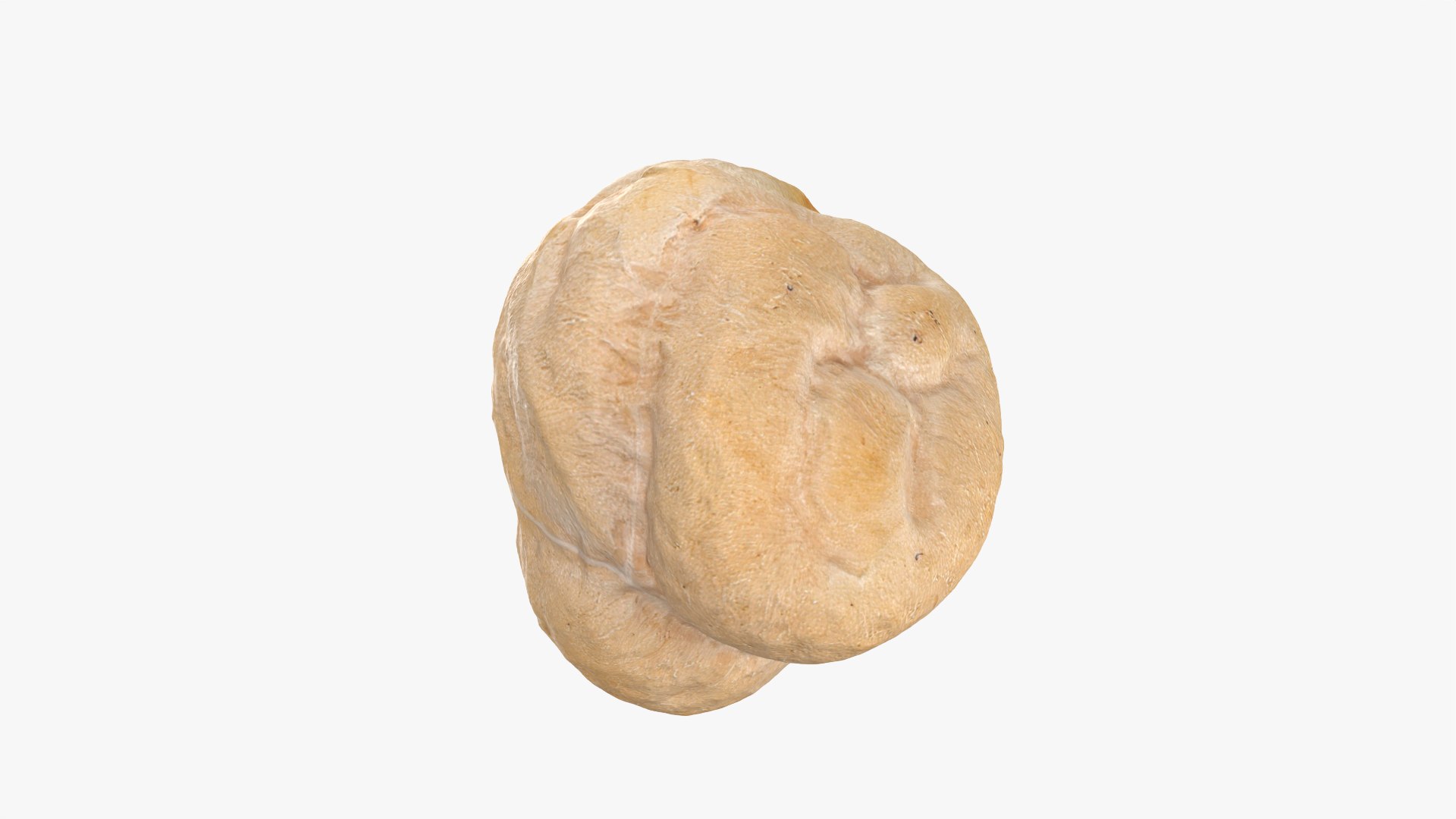 Dry Chickpea 03 - 3D Scanned 3D https://p.turbosquid.com/ts-thumb/X5/IeMvCo/0b/chickpeadry03_0004/png/1769851939/1920x1080/fit_q87/93a04d322d644854f86c72b4c383bc07d1acebc2/chickpeadry03_0004.jpg