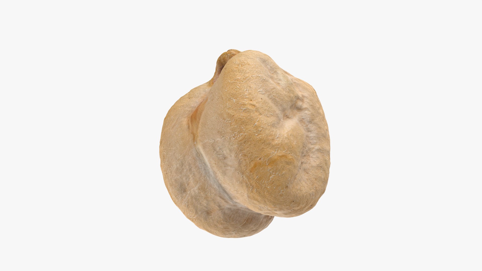 Dry Chickpea 03 - 3D Scanned 3D https://p.turbosquid.com/ts-thumb/X5/IeMvCo/BR/chickpeadry03_0008/png/1769851946/1920x1080/fit_q87/09fb2ef8eb3225f8279448178136946e2d207204/chickpeadry03_0008.jpg