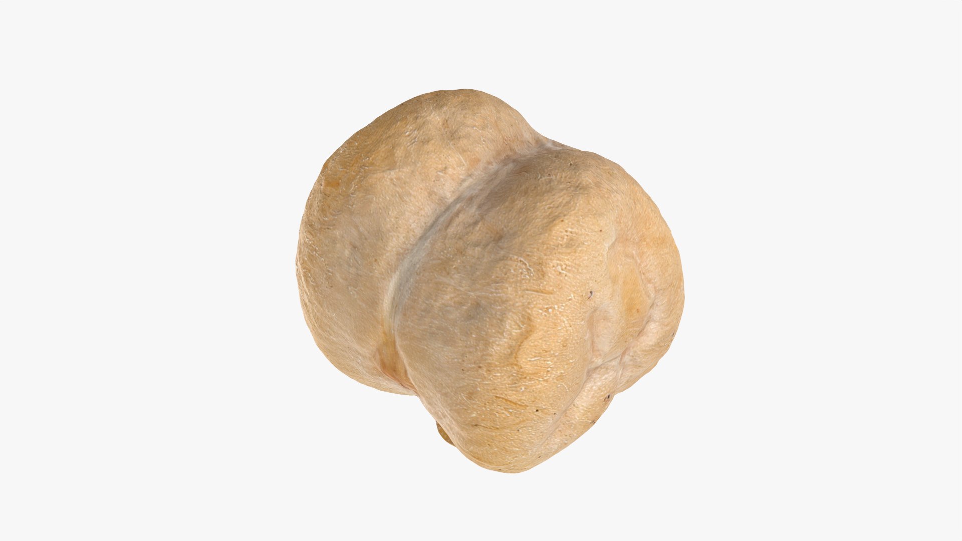 Dry Chickpea 03 - 3D Scanned 3D https://p.turbosquid.com/ts-thumb/X5/IeMvCo/Gq/chickpeadry03_0012/png/1769851951/1920x1080/fit_q87/86fa2a127f4a055625b4234162962d7e3de8814e/chickpeadry03_0012.jpg