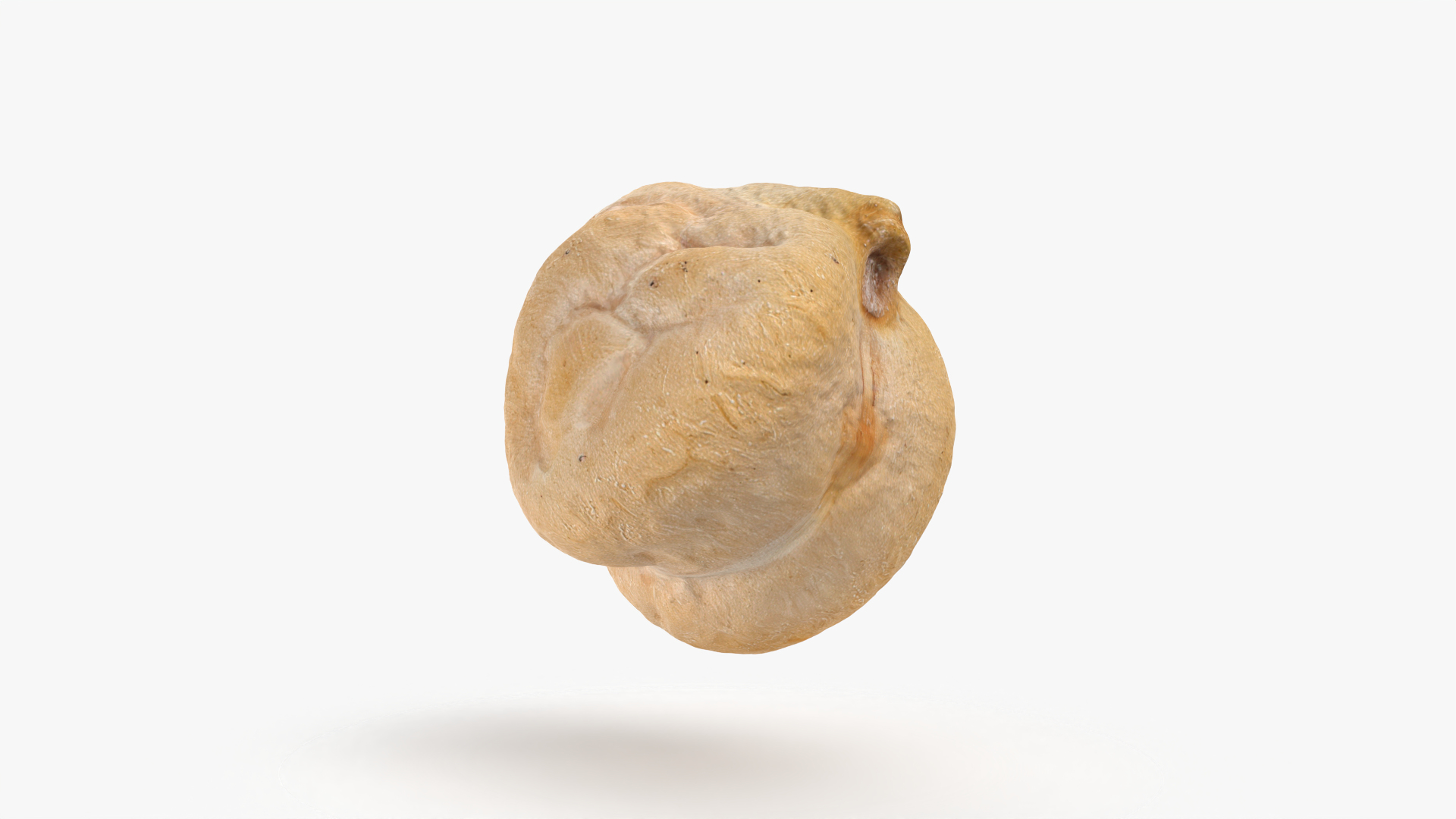 Dry Chickpea 03 - 3D Scanned 3D https://p.turbosquid.com/ts-thumb/X5/IeMvCo/Ip/chickpeadry03/png/1769858457/1920x1080/turn_fit_q99/353a4de0935aa91c7f10cc9a86fba1447447b372/chickpeadry03-1.jpg