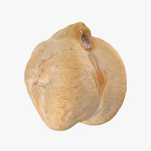 Dry Chickpea 03 - 3D Scanned 3D