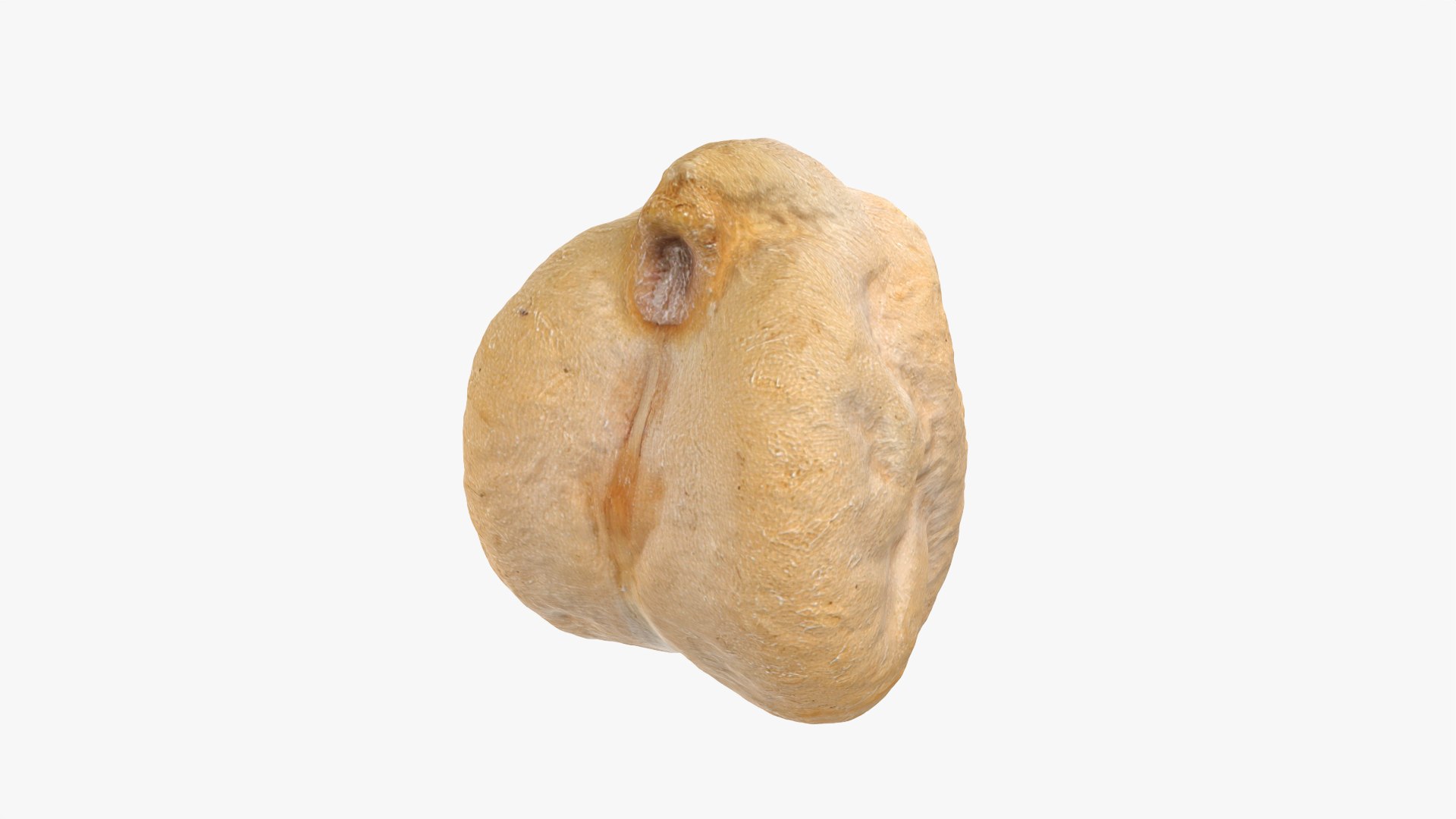 Dry Chickpea 03 - 3D Scanned 3D https://p.turbosquid.com/ts-thumb/X5/IeMvCo/cd/chickpeadry03_0005/png/1769851941/1920x1080/fit_q87/1276dc78b3b2938fdce4ac9b3a1423c74a1060e1/chickpeadry03_0005.jpg