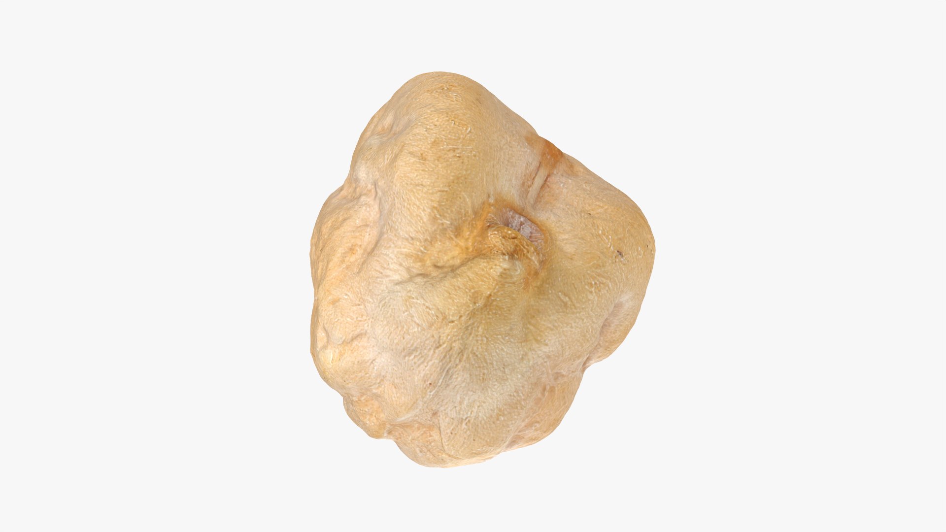 Dry Chickpea 03 - 3D Scanned 3D https://p.turbosquid.com/ts-thumb/X5/IeMvCo/hE/chickpeadry03_0011/png/1769851949/1920x1080/fit_q87/b65551906b318c8d6d2fabb974bd09a811cc100b/chickpeadry03_0011.jpg