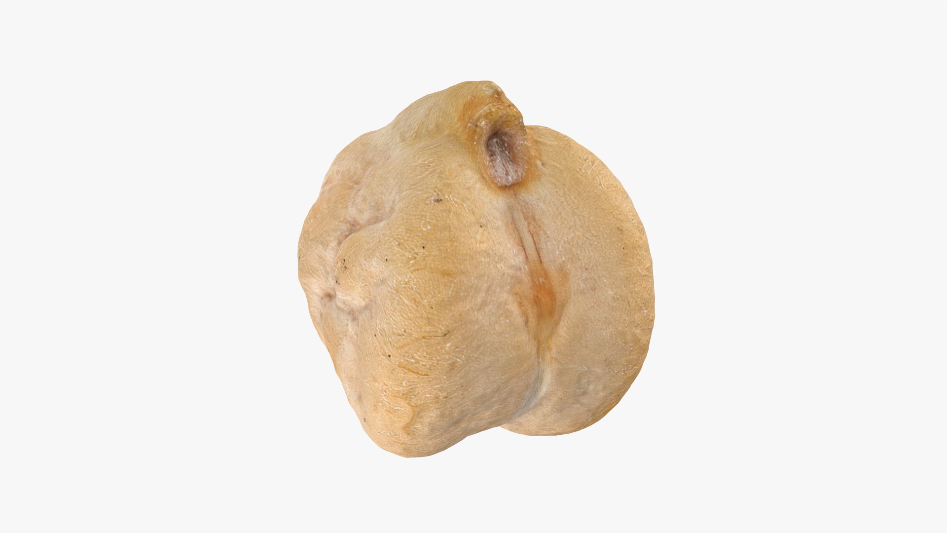 3D Dry Chickpea Collection model https://p.turbosquid.com/ts-thumb/X5/IeMvCo/iZ/chickpeadry03_0001/png/1790464456/1920x1080/fit_q87/2c980400204b692296d70fa1c8359c2d942d719d/chickpeadry03_0001.jpg