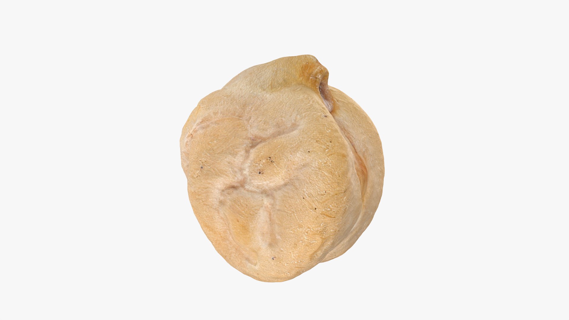 Dry Chickpea 03 - 3D Scanned 3D https://p.turbosquid.com/ts-thumb/X5/IeMvCo/mK/chickpeadry03_0007/png/1769851946/1920x1080/fit_q87/da6473de73fbb4eb3d9c6232fa1a5fda984f1eaa/chickpeadry03_0007.jpg