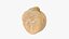 Dry Chickpea 03 - 3D Scanned