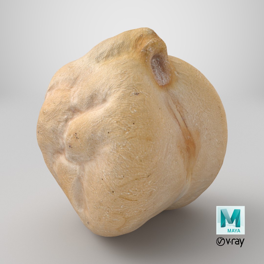 Dry Chickpea 03 - 3D Scanned 3D https://p.turbosquid.com/ts-thumb/X5/IeMvCo/tw/stemcell_maya_vray_render/png/1770086931/1920x1080/fit_q87/872217d24fd01323484a005aa8264507f5c68647/stemcell_maya_vray_render.jpg